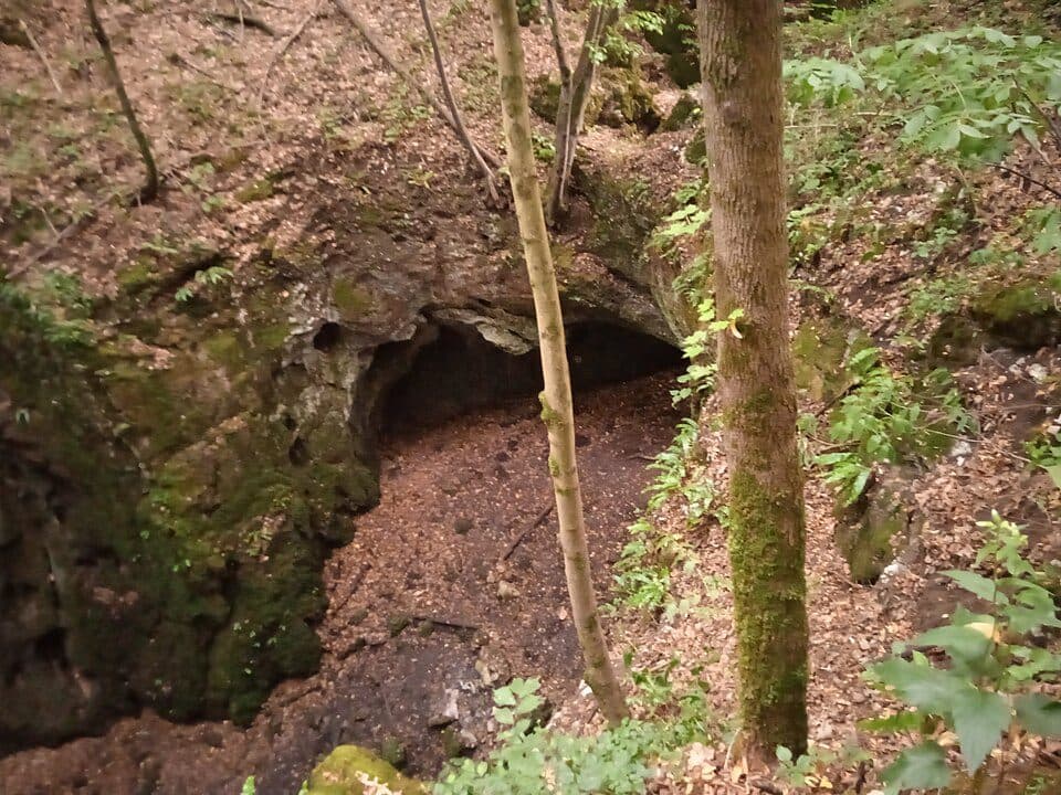 K╱, Varbó - Andó-kúti erdei tanösvény
