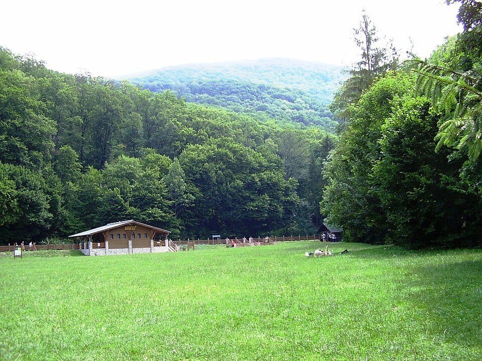 Z▲ (Istállós-kői-barlang – Istállós-kő)