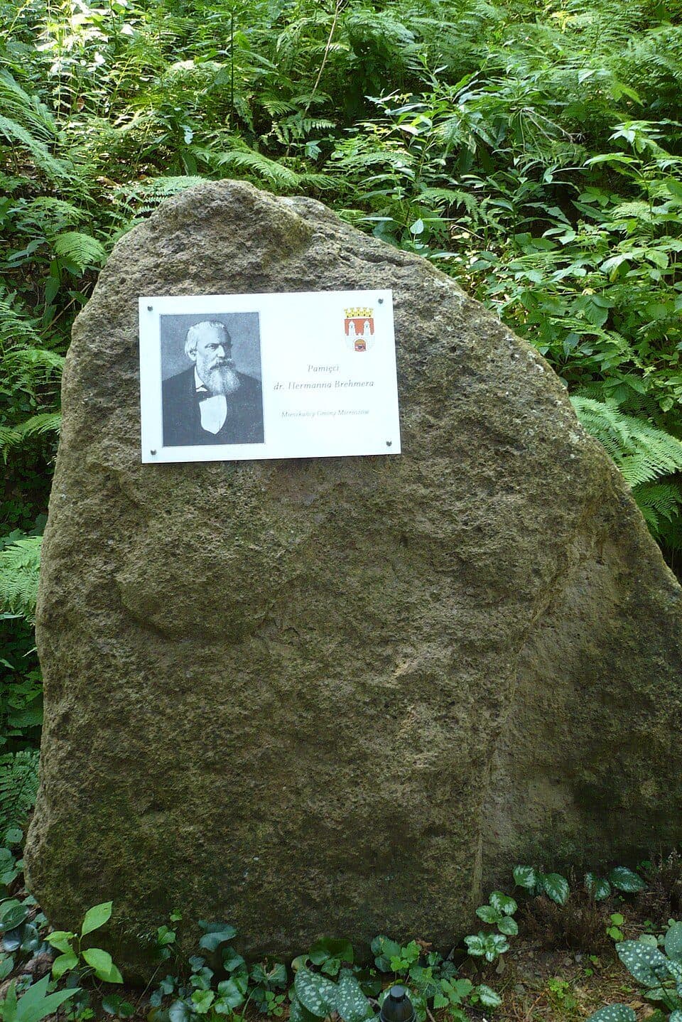 Unisław Śląski - Bukowiec