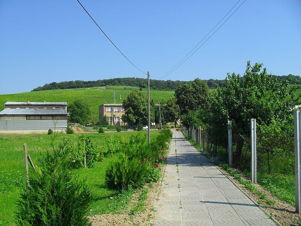 Via Slovakia (Kechnec - Kráľovský Chlmec)