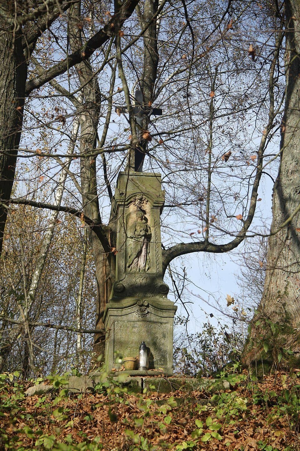 [Ž] Teplice nad Metují - Teplické skály
