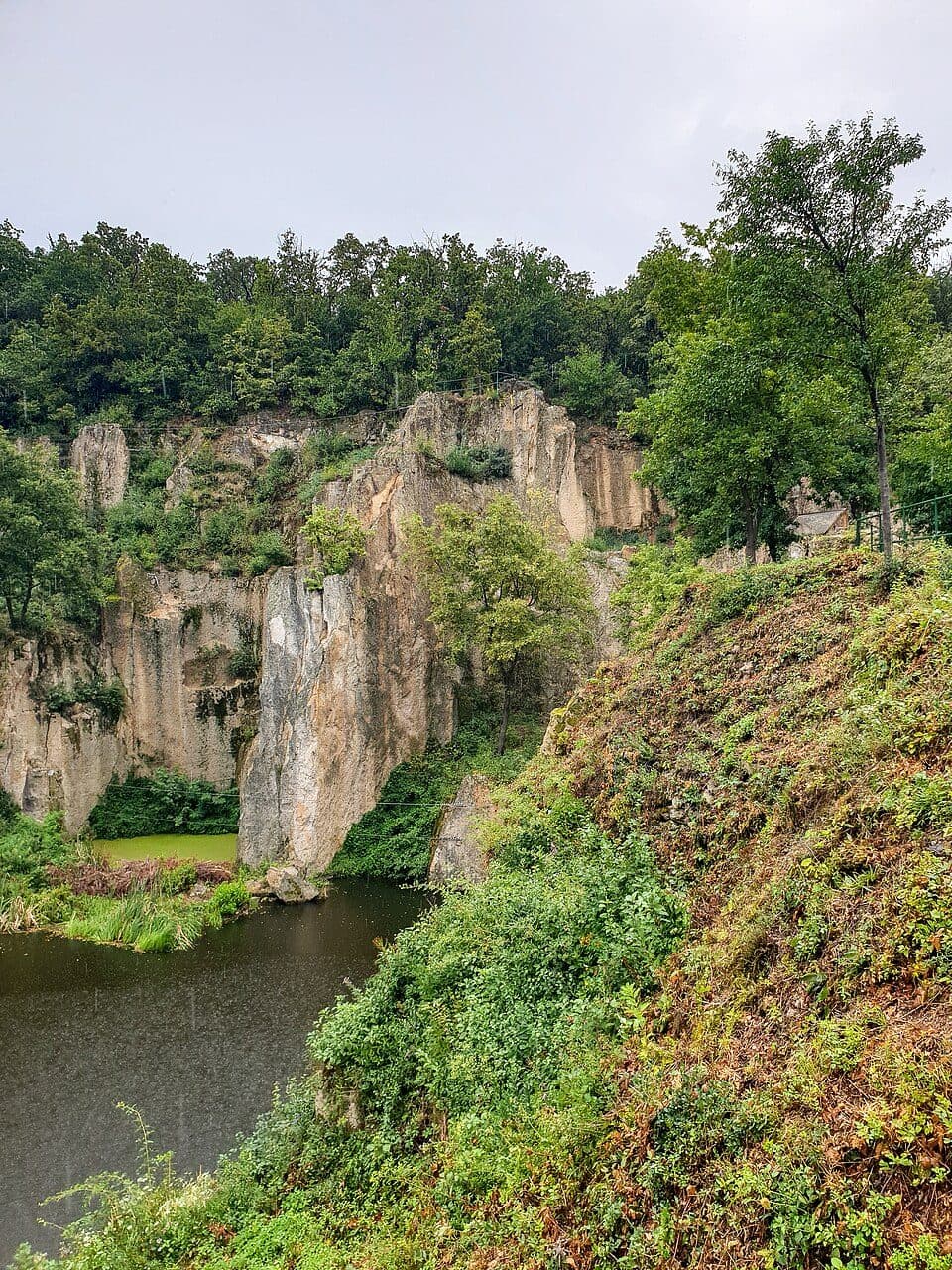 P (Sárospatak – Mikóháza – Sátoraljaújhely, oh.)