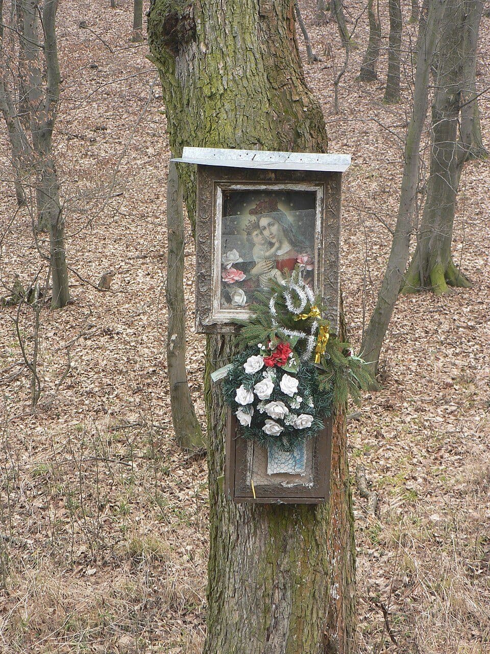 Rekr. stred. Kováčov - Skaly, vyhliadka