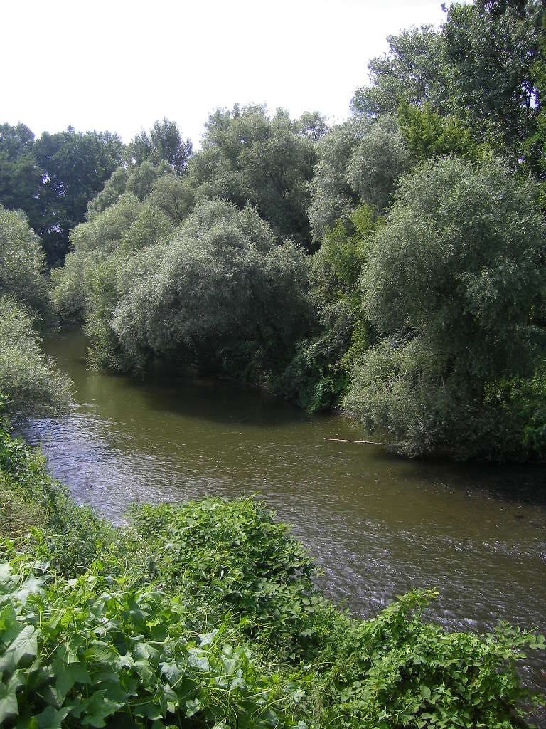 Bielovce — zdjęcie 2