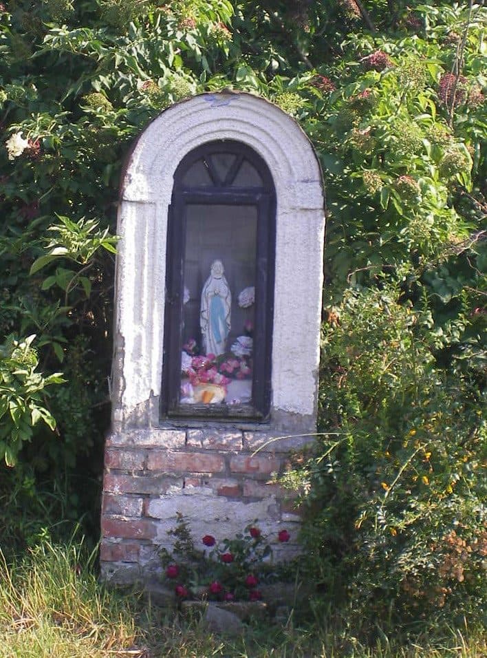 Zöldutak 8