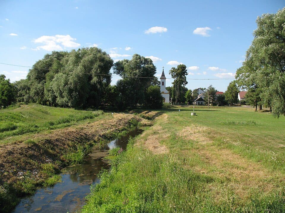 Zöldutak 8