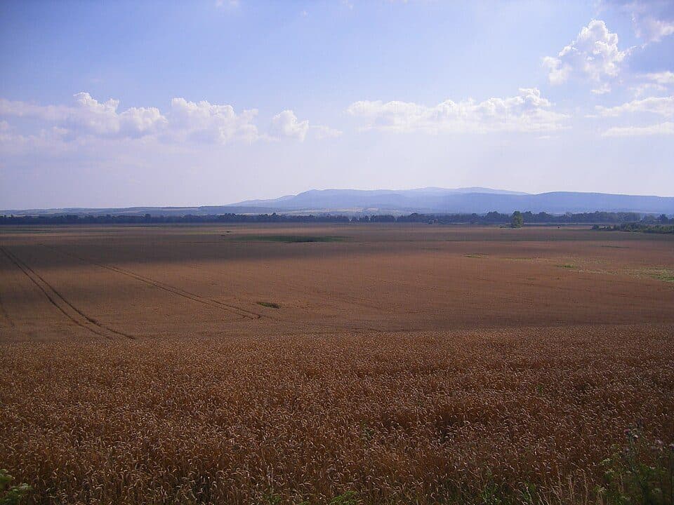 Zöldutak 11