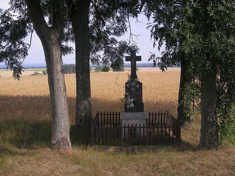 Zöldutak 11