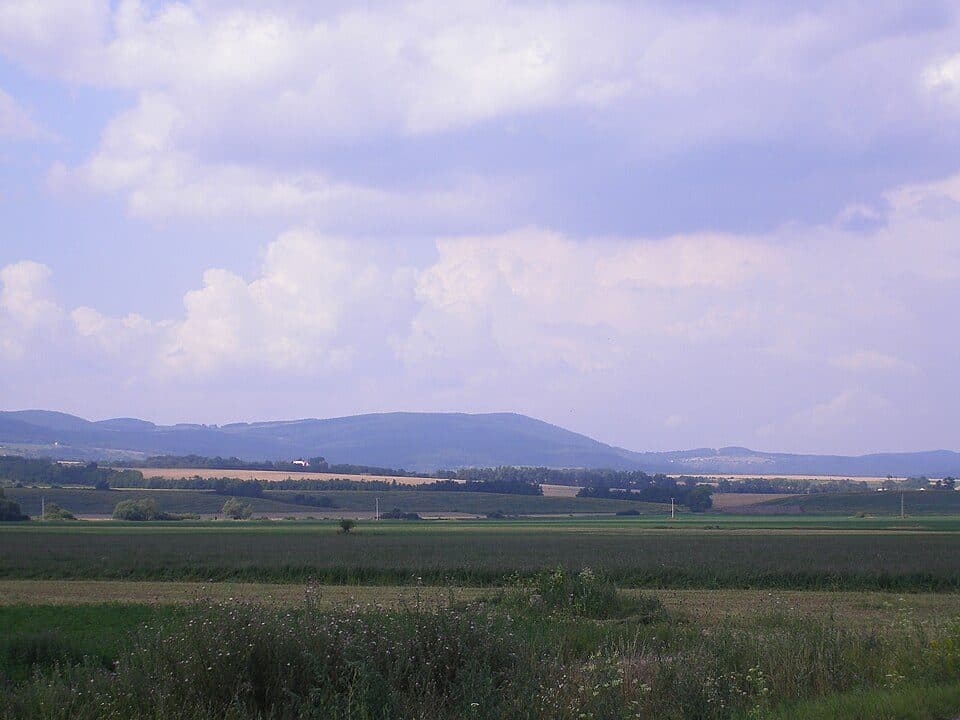 Zöldutak 1