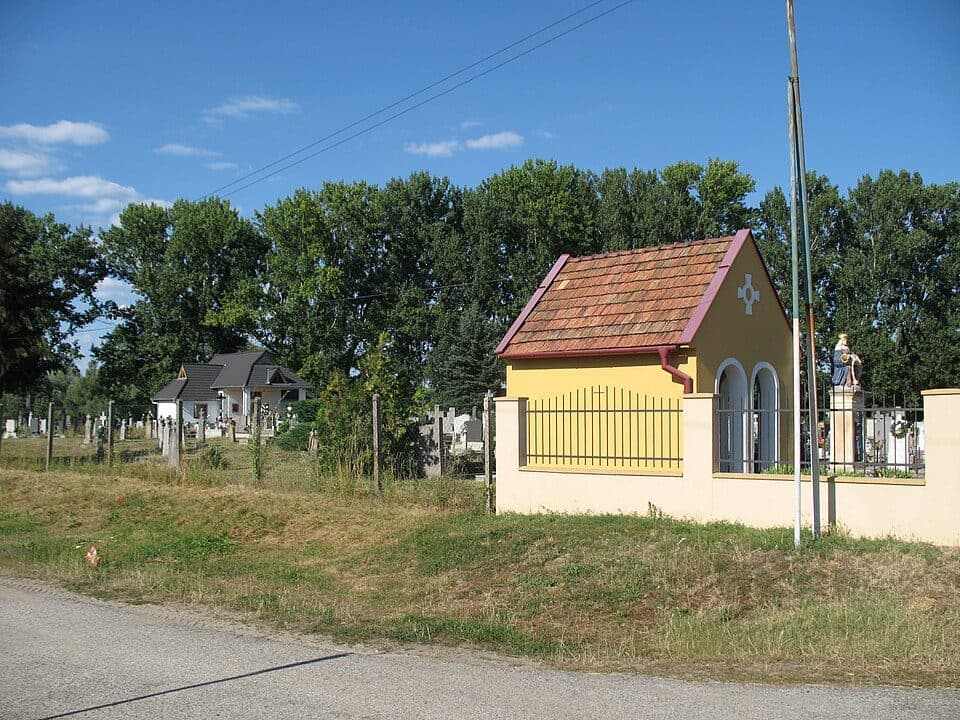 Zöldutak 8