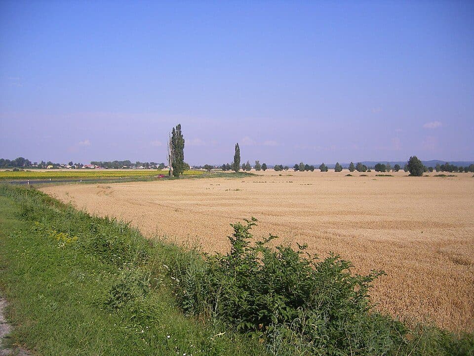Balog nad Ipľom — zdjęcie 2