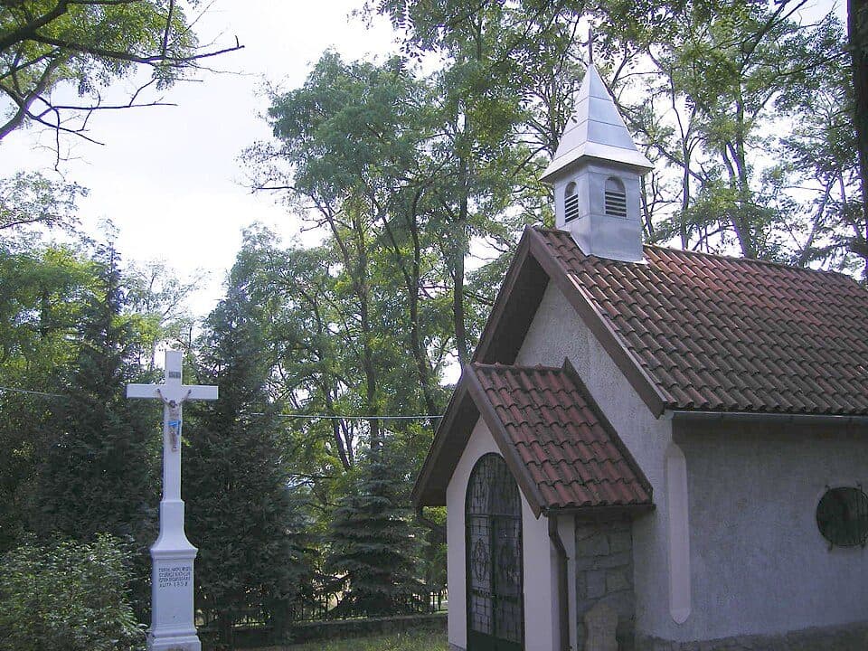 Zöldutak 8