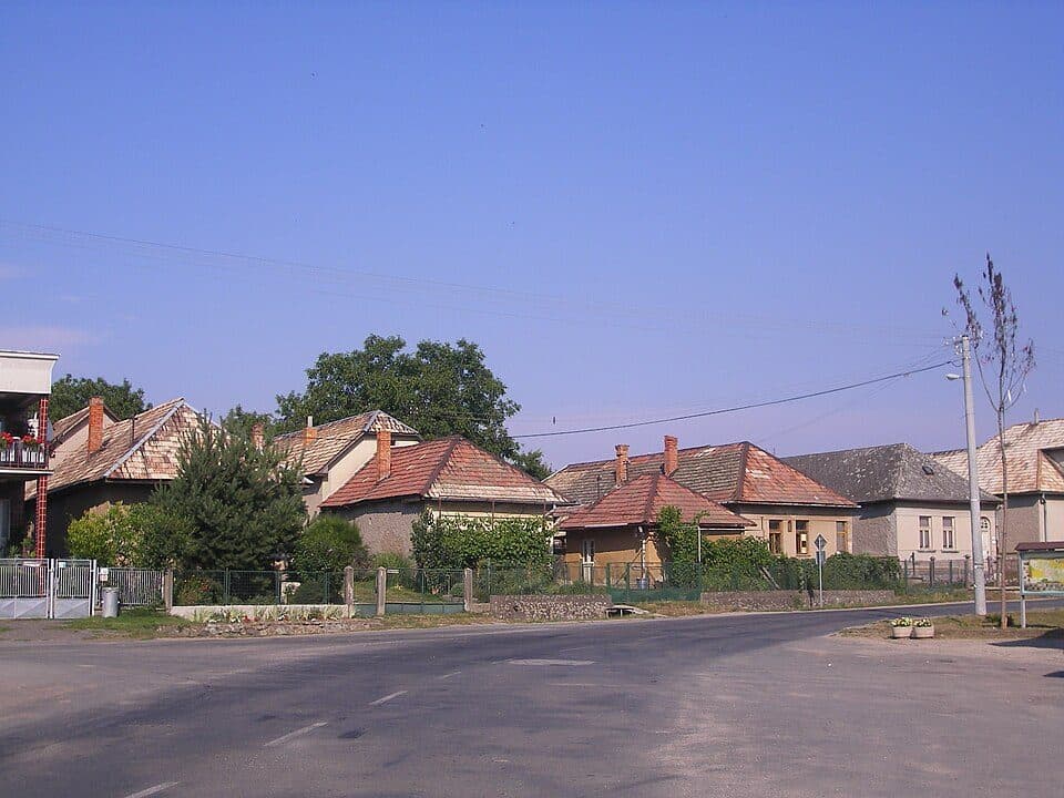 Zöldutak 8