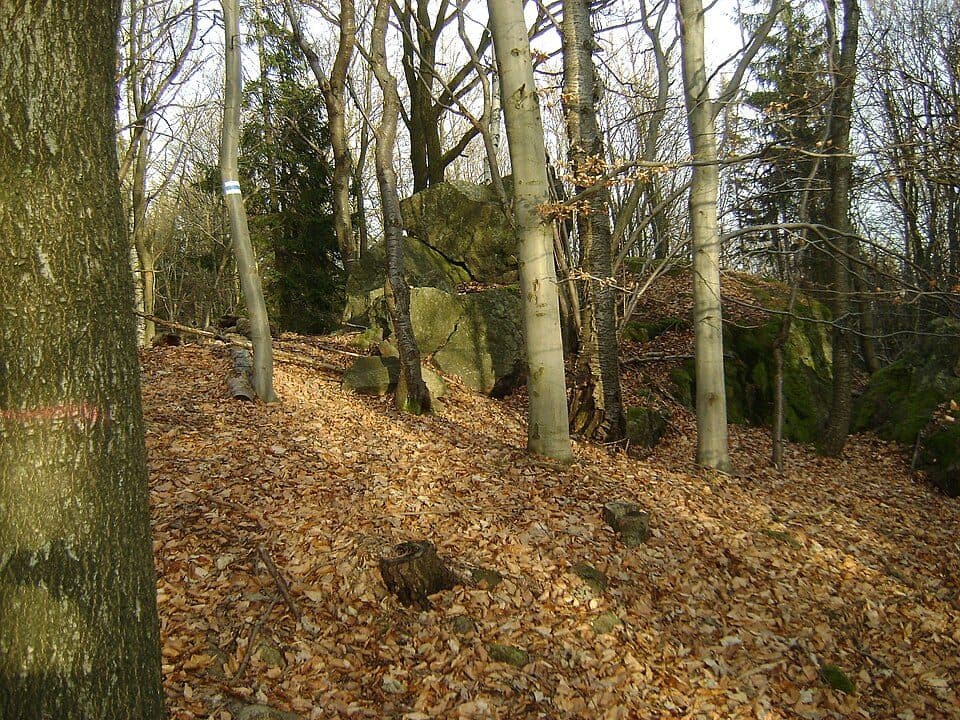 Jedlina Zdrój – Zagórze Śląskie