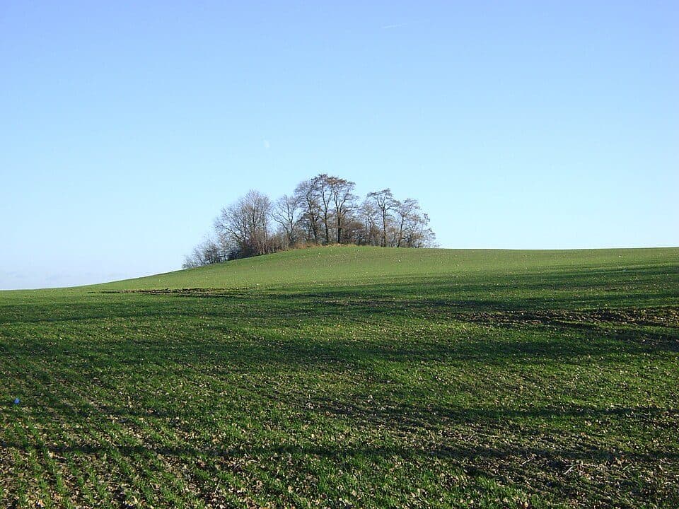 Górzno (wzgórze)