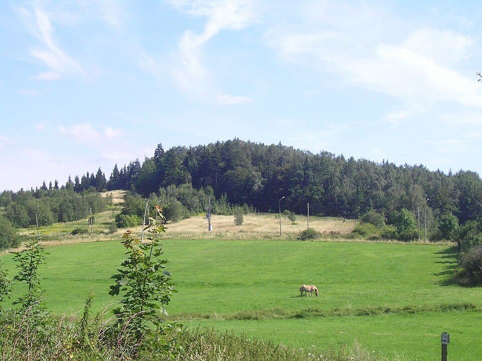 Ścieżka dydaktyczna Park Rusinowa - niebieska