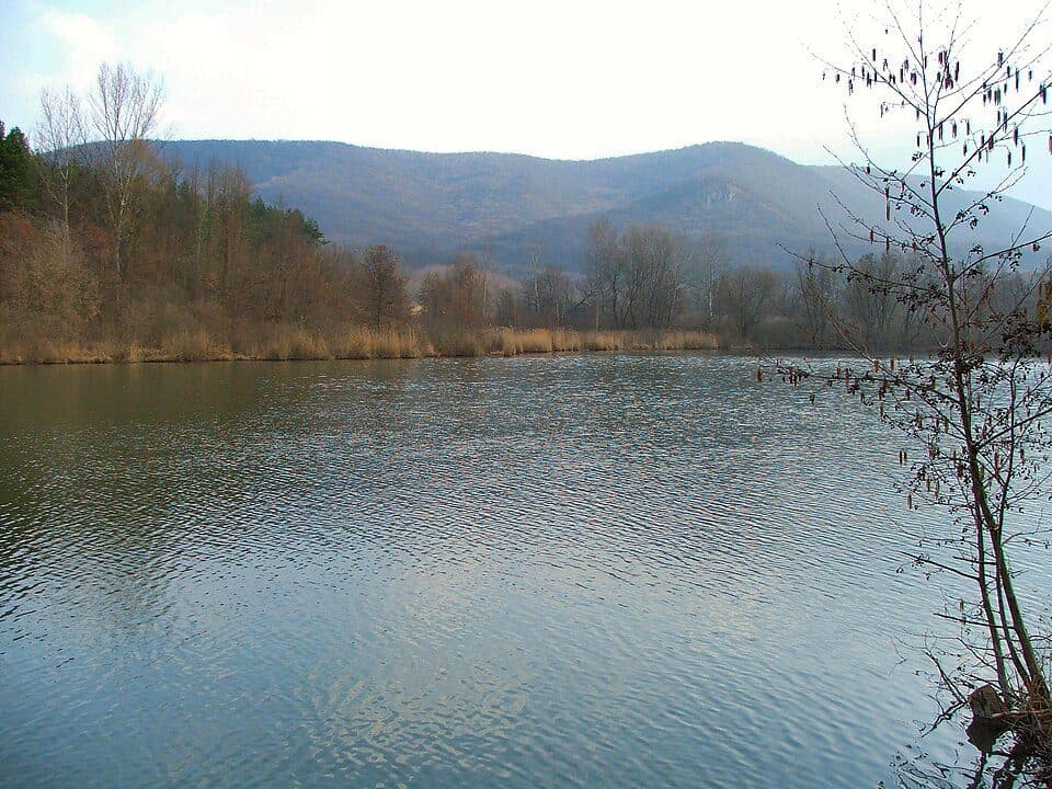 P▲ (Vasarc-erdő – Hideglelős-kereszt – Esztergom, Búbánatvölgy am.)