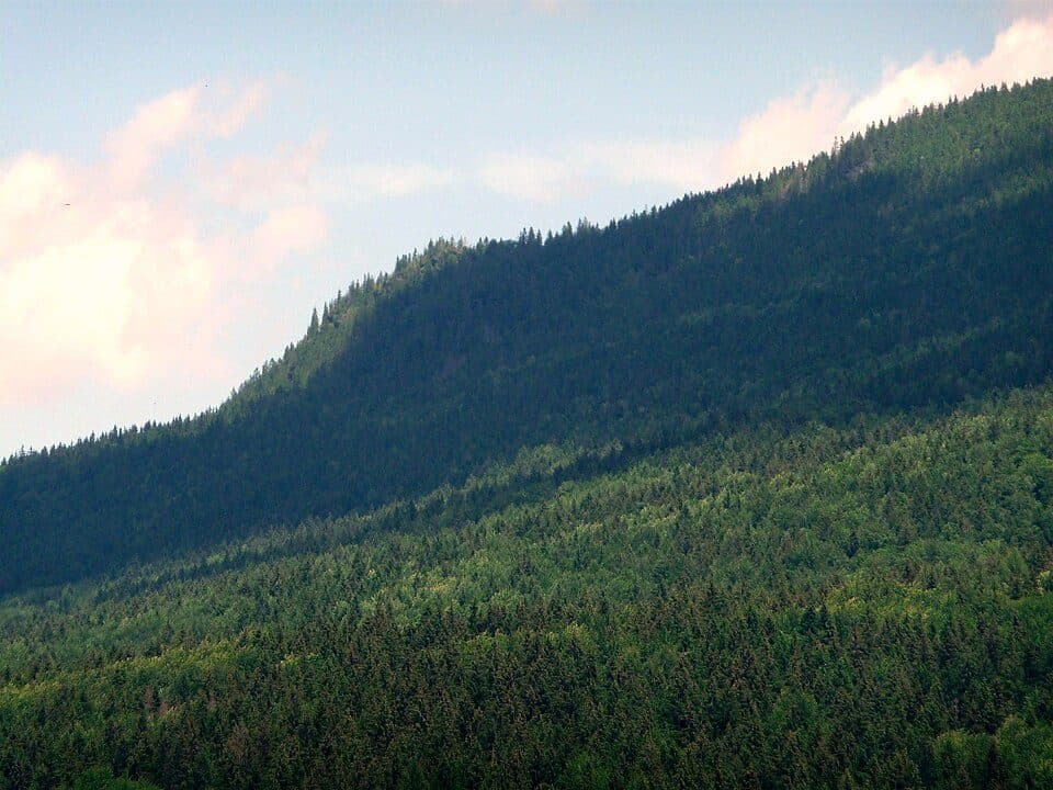 Kleiner Falkenstein
