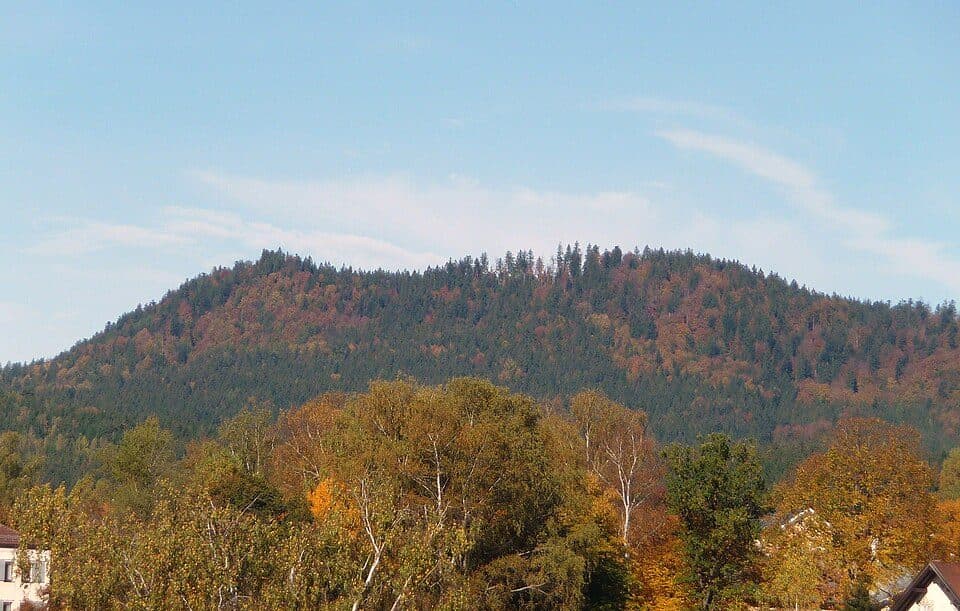 Hennenkobel