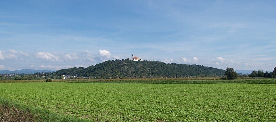 Bogenberg