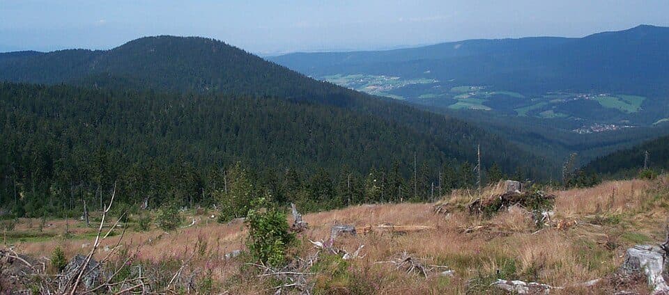 Schwarzeck