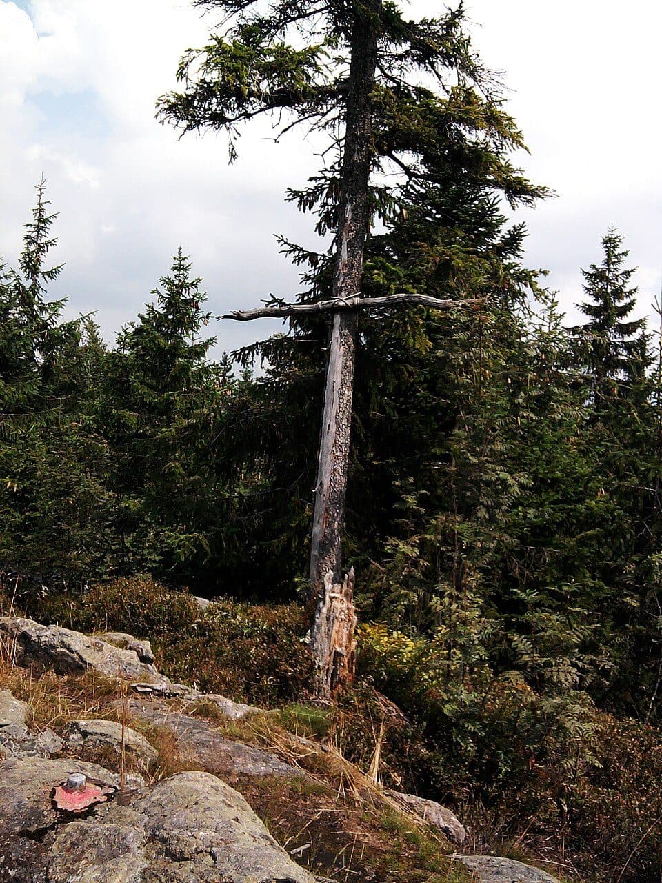 Goldsteig S17: Grandsberg – Landshuter Haus
