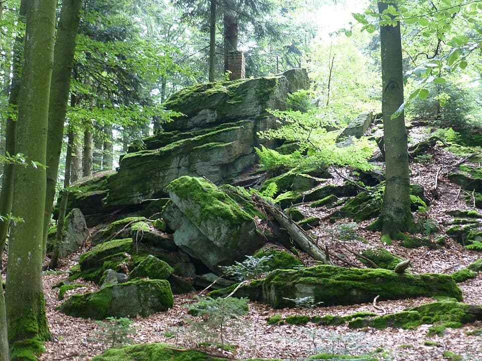 Hausstein