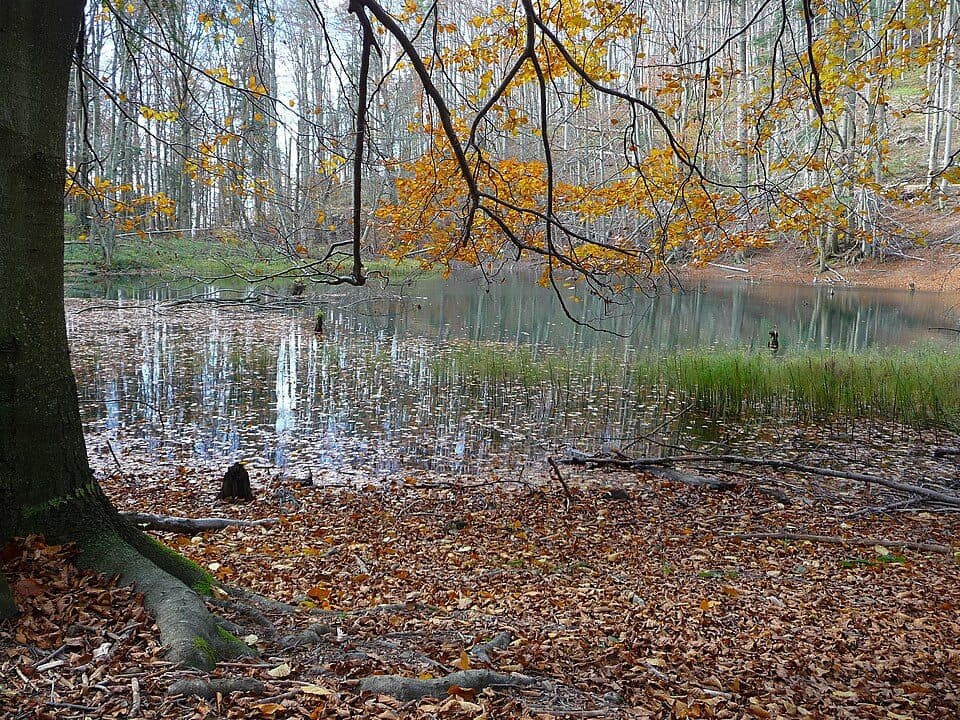 Ścieżka przyrodnicza na Chryszczatą