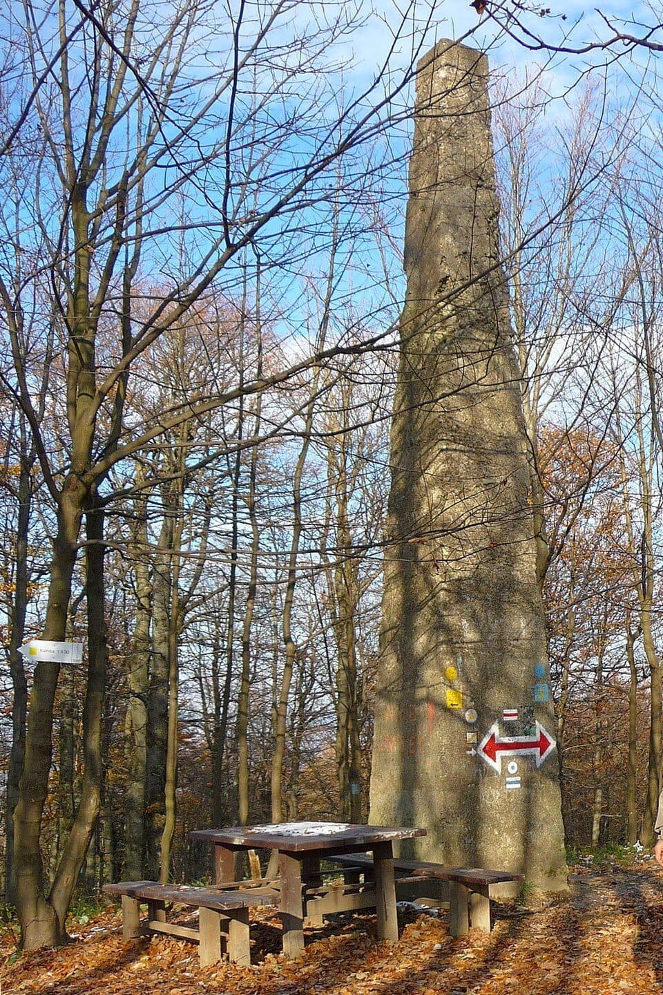 Ścieżka przyrodnicza na Chryszczatą