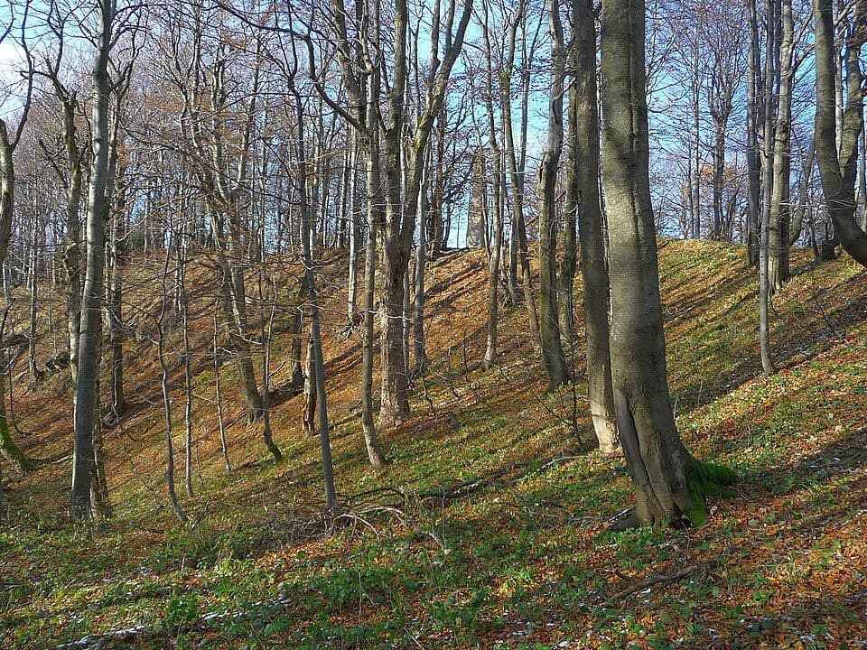 Ścieżka przyrodnicza nad Jeziorko Bobrowe i Smrekowiec