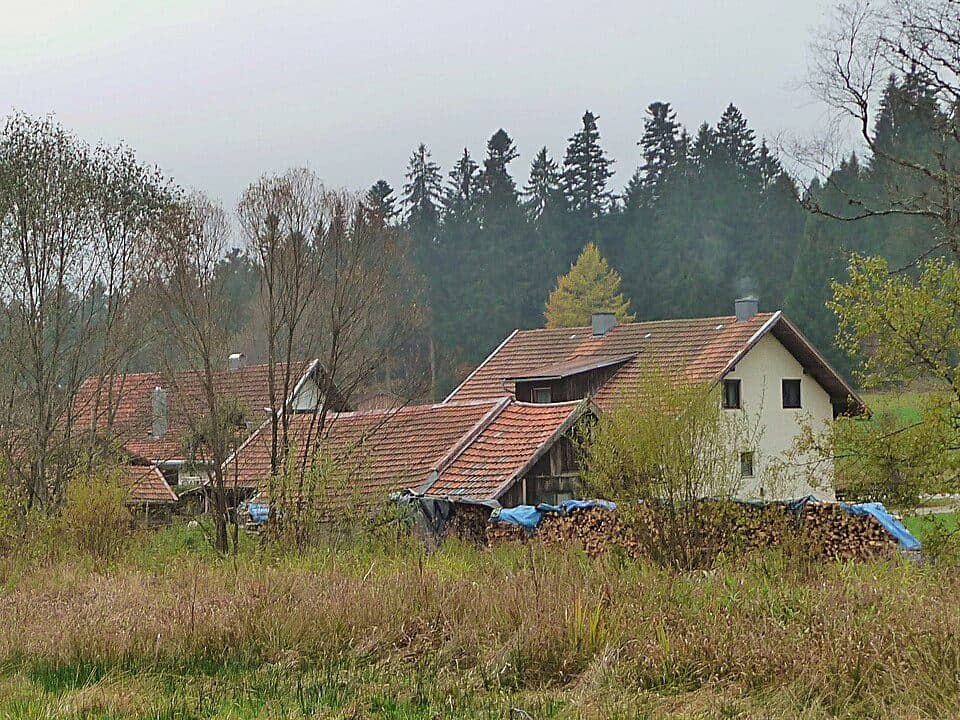 Rundgang Wildtiere