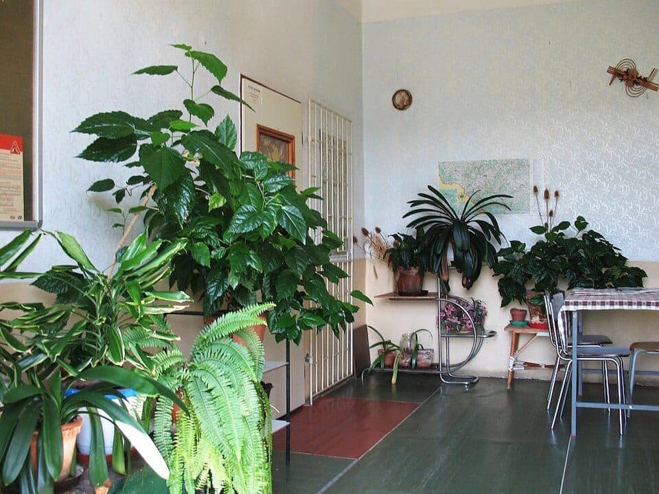 Nemilkov — photo 3