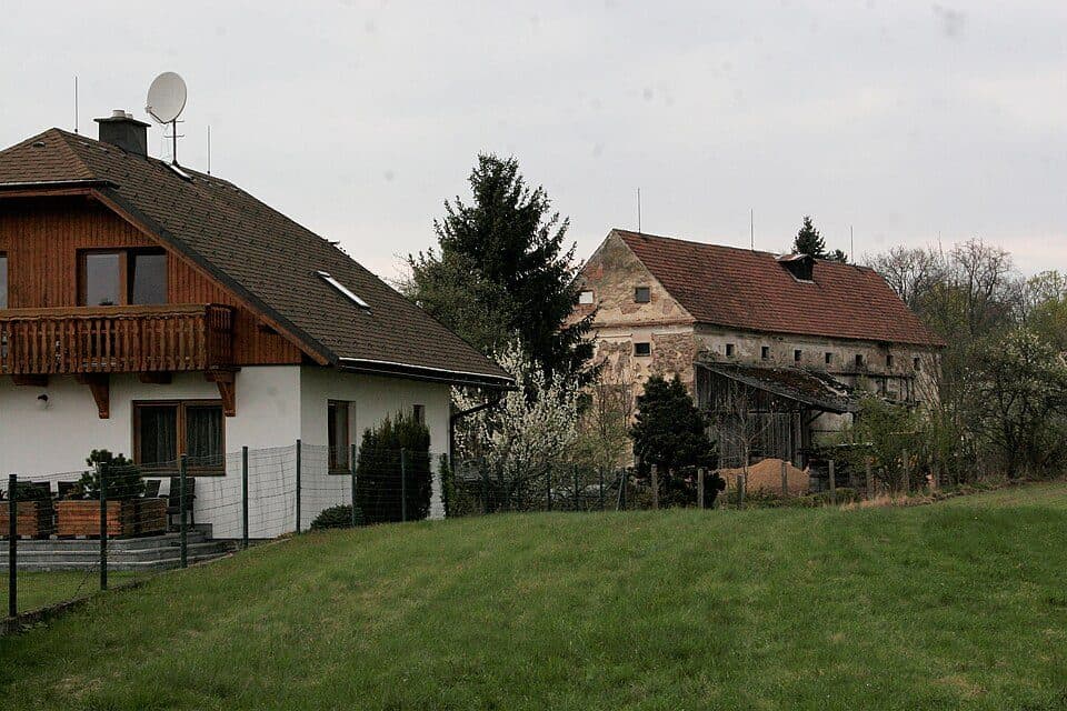 3641