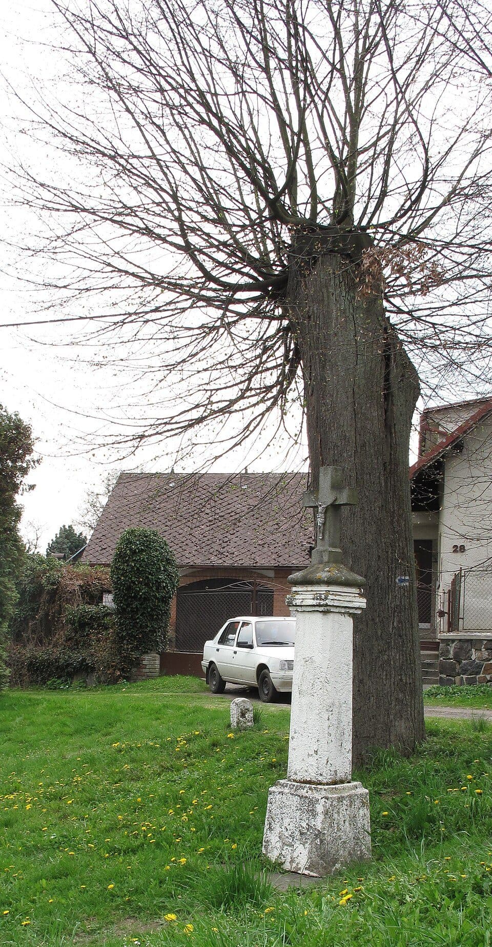 Saustawa — Foto 2