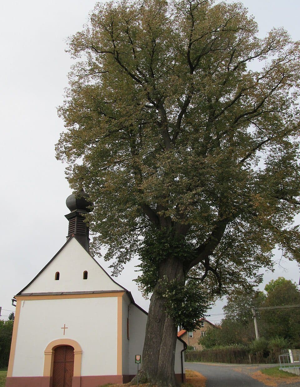 Chudenín