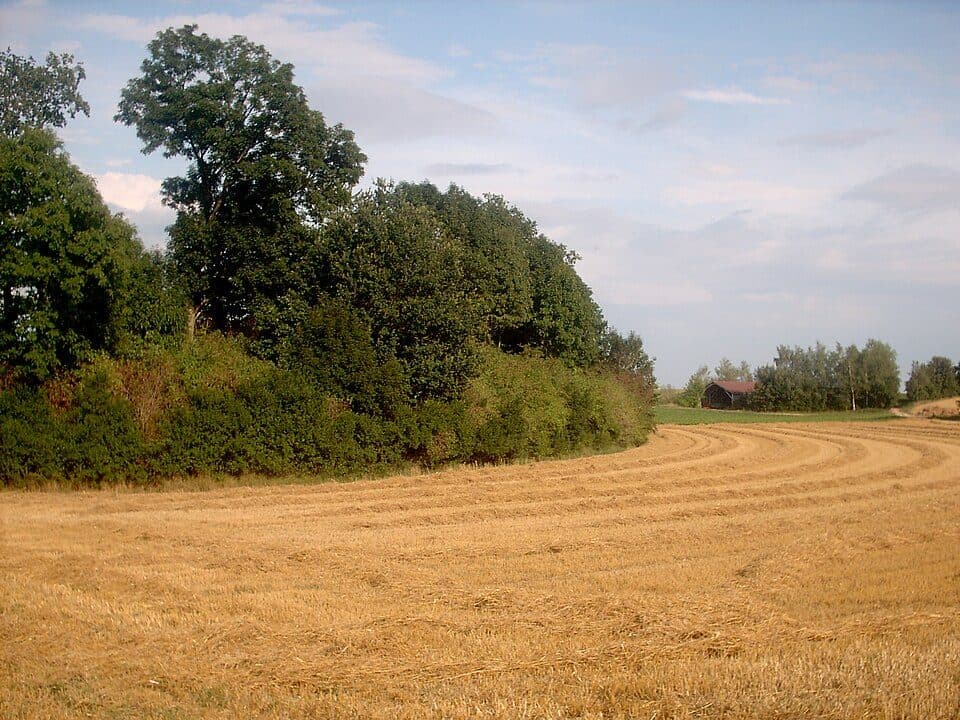 Baierweg ab Mariaposching