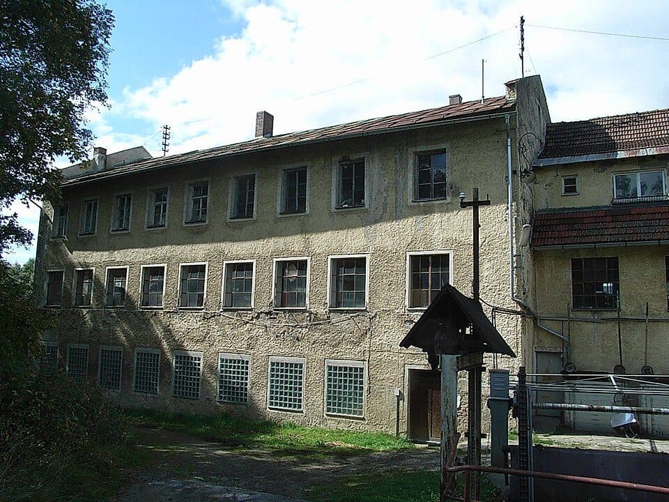 26