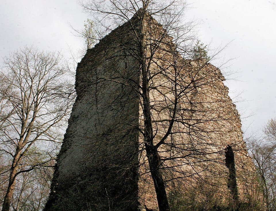 Pajrek