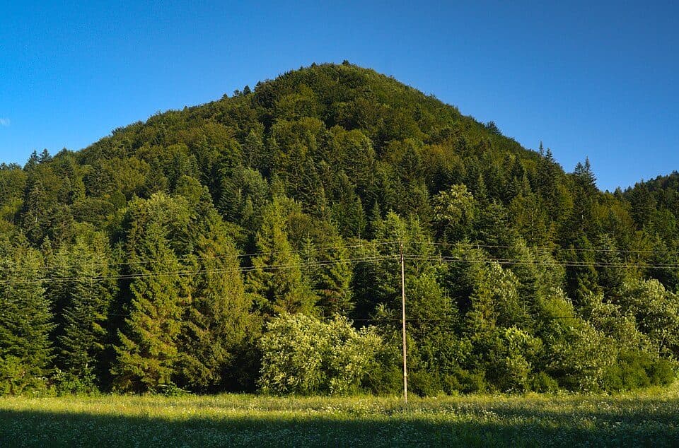 Dzidowa (szczyt)