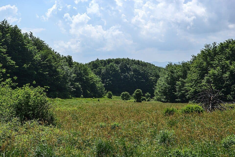 Baligród - Łopiennik