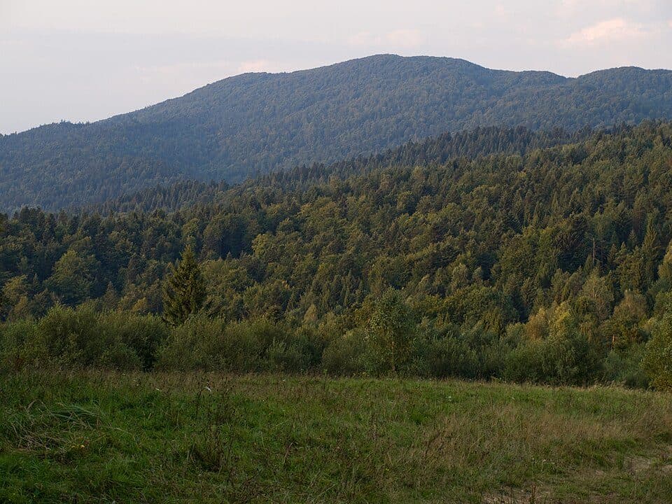 Łopiennik (szczyt)