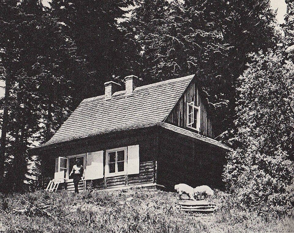 Łopiennik — fotografia 3