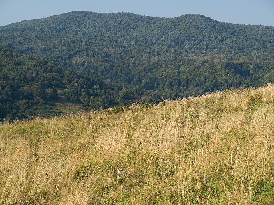 Korbania