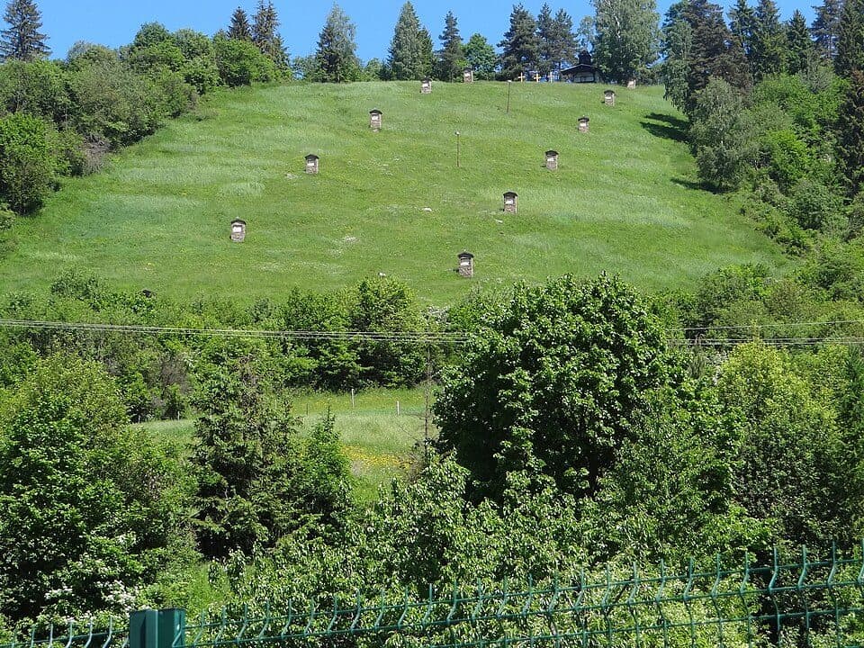 Forbasy, stanica - Lúka pod Špicou