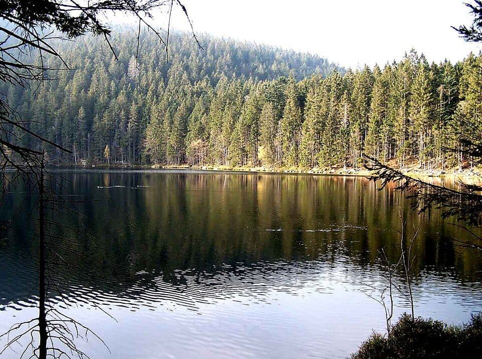 Teufelssee (Böhmerwald)