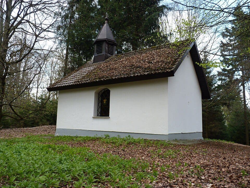 Svatý Bernard — fotografia 3