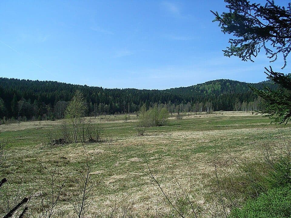 Stockau-Wiesen