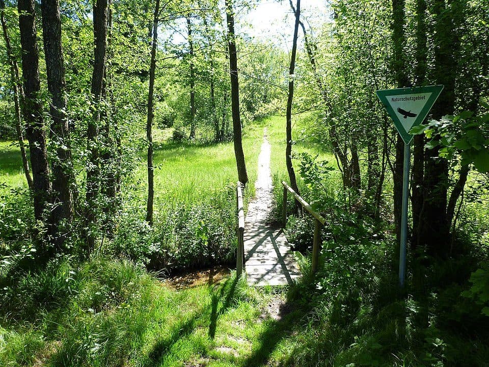 Isartalwasser bei Neutiefenweg — zdjęcie 2