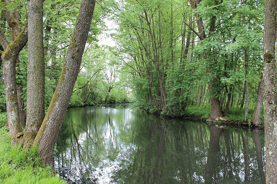 Isartalwasser bei Neutiefenweg — zdjęcie 3