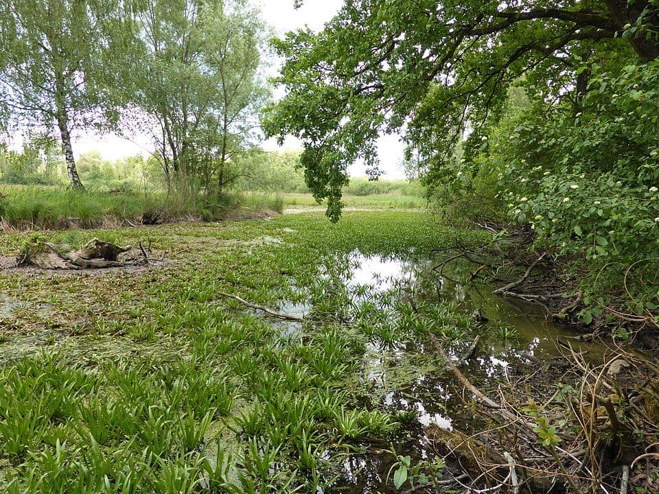 Isartalwasser bei Neutiefenweg